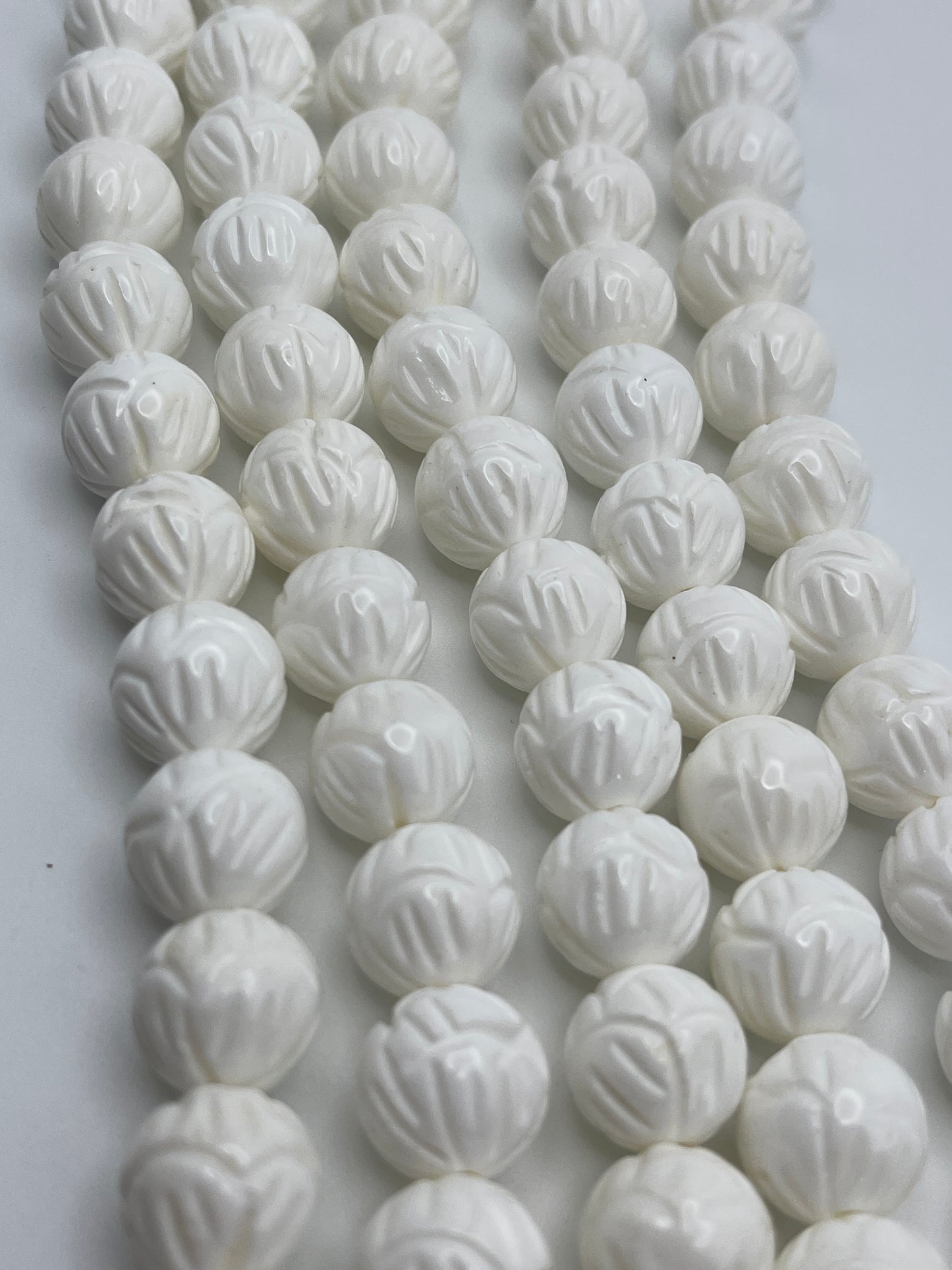 12mm Tridacna Shell.