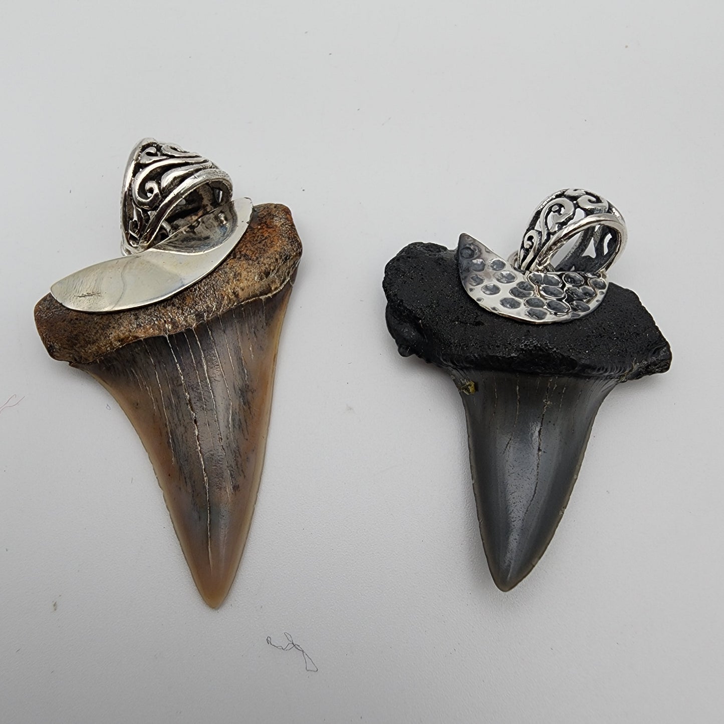 SS Shark Tooth Pendant