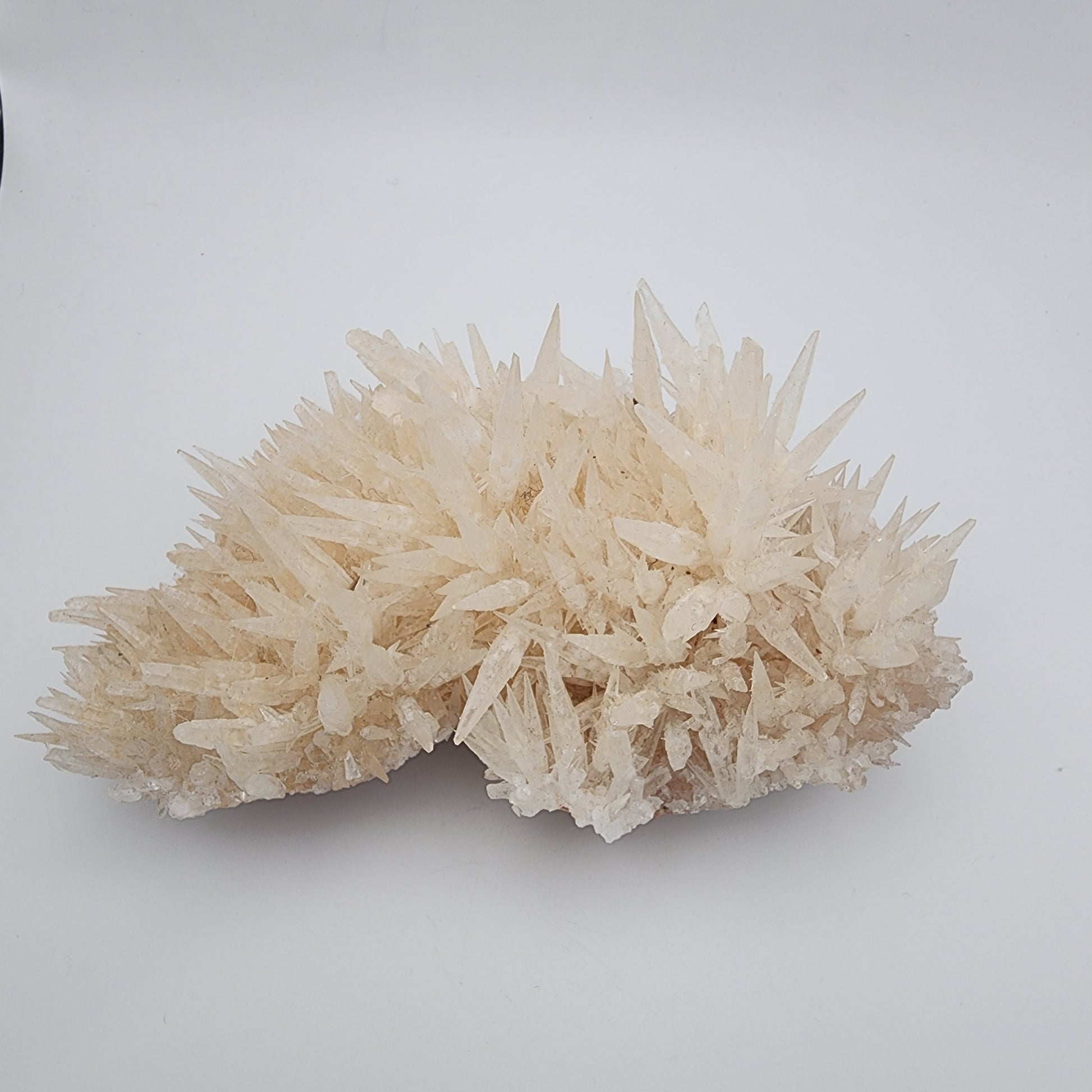 Arogonite Indonesia Specimen