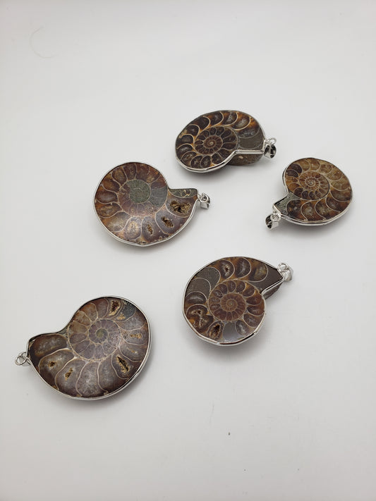 Fossil Pendant