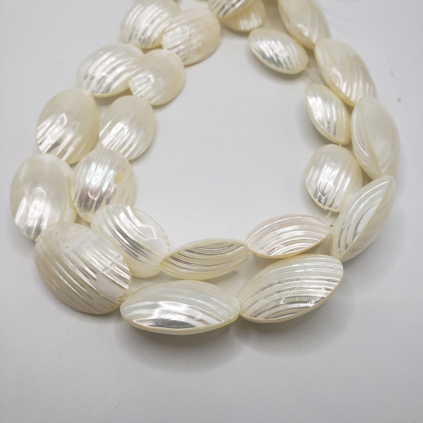 Large Puffy White Shell