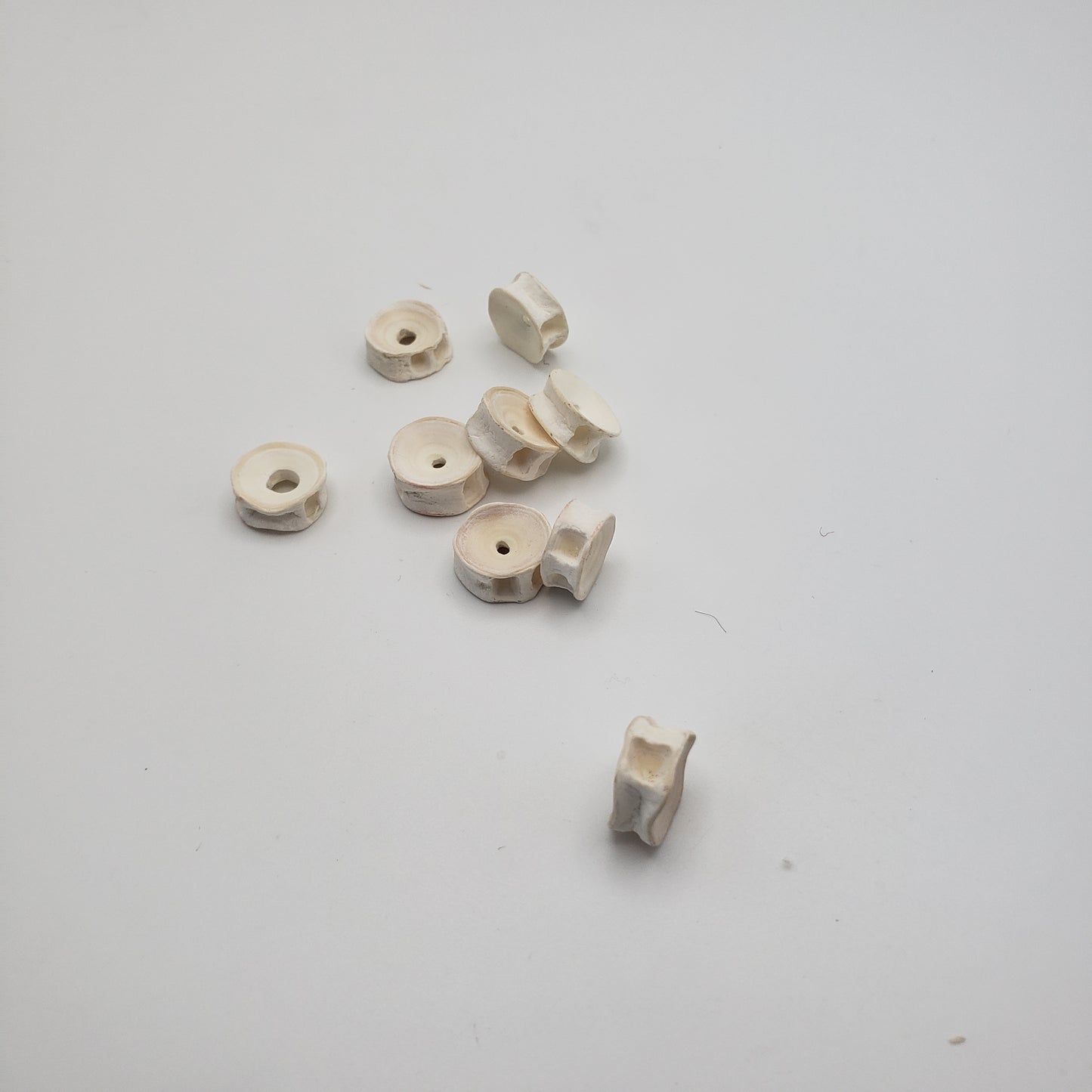 Shark Bone Bead Single