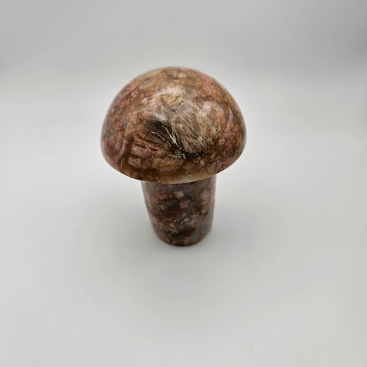 2.5in Jasper Mushroom.