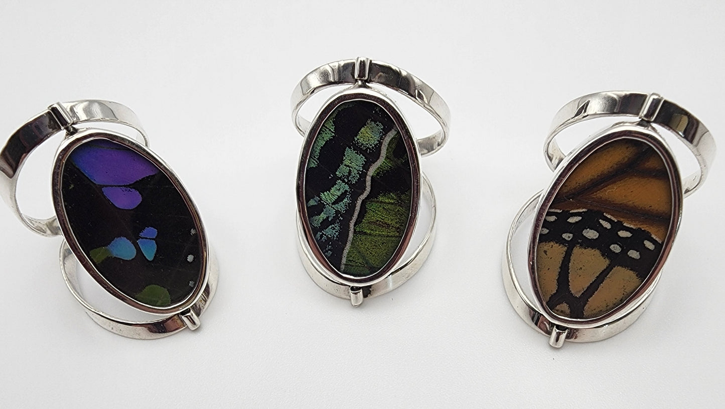 SS Butterfly Reversible Rings