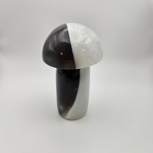 4" Agate Druzy Mushroom