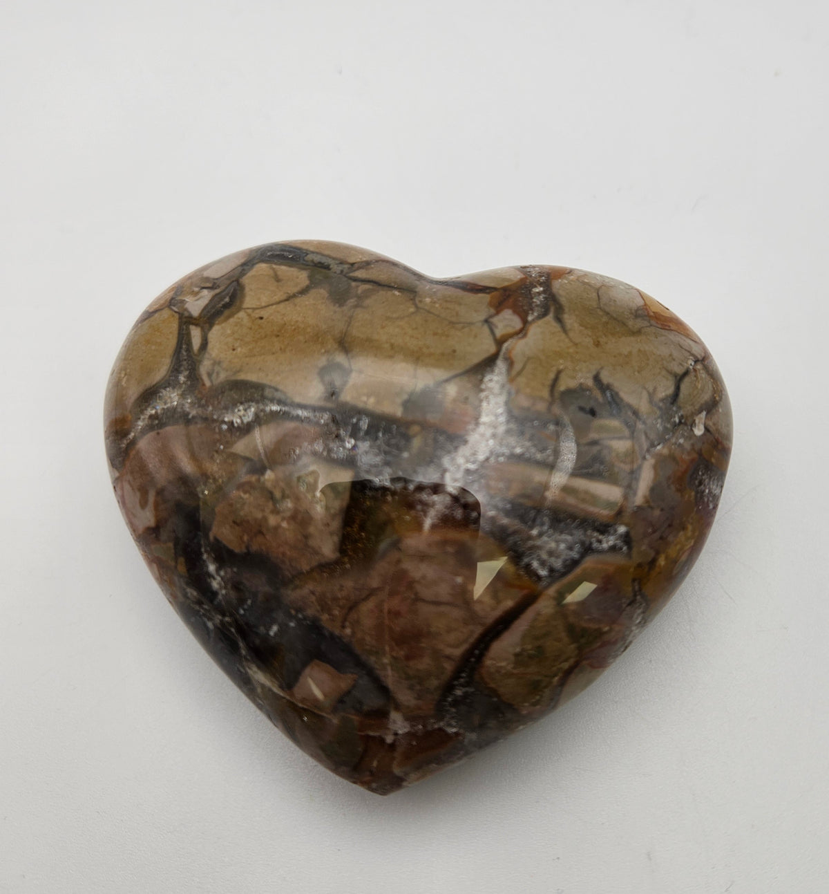 Petrified Wood Druzy Heart 3