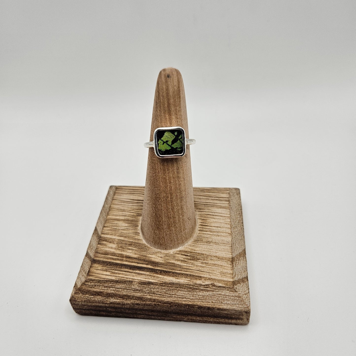 SS Urania Ripheus Square Size 7