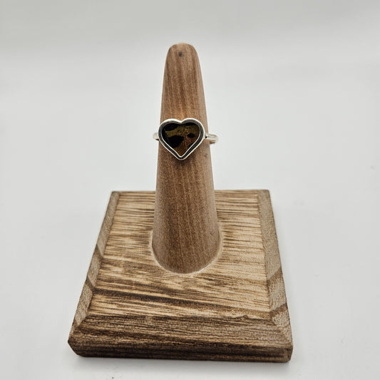 SS Urania Ripheus Heart Size 7.25