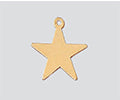 Gold Filled Charm Star 15.2mm