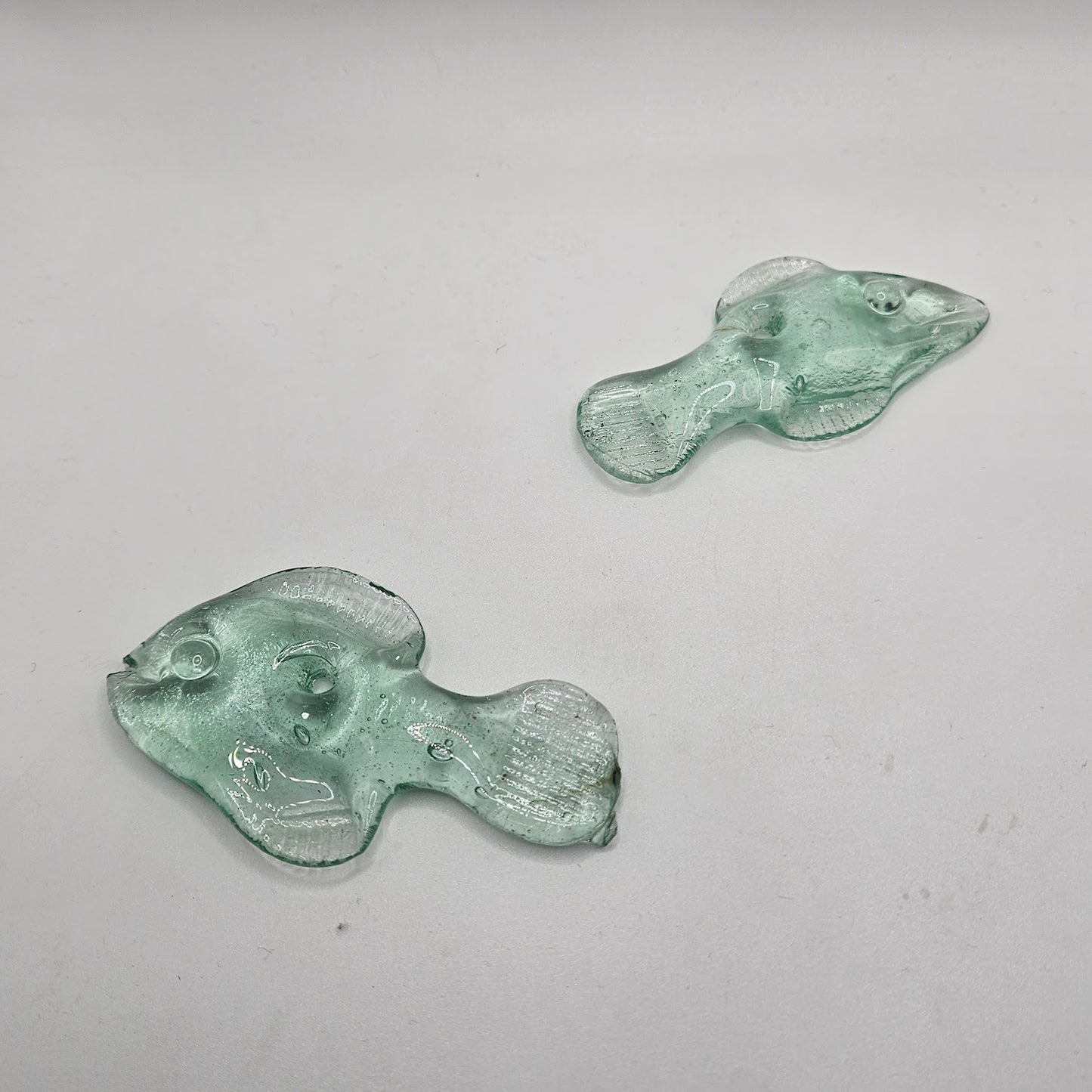 Glass Fish.