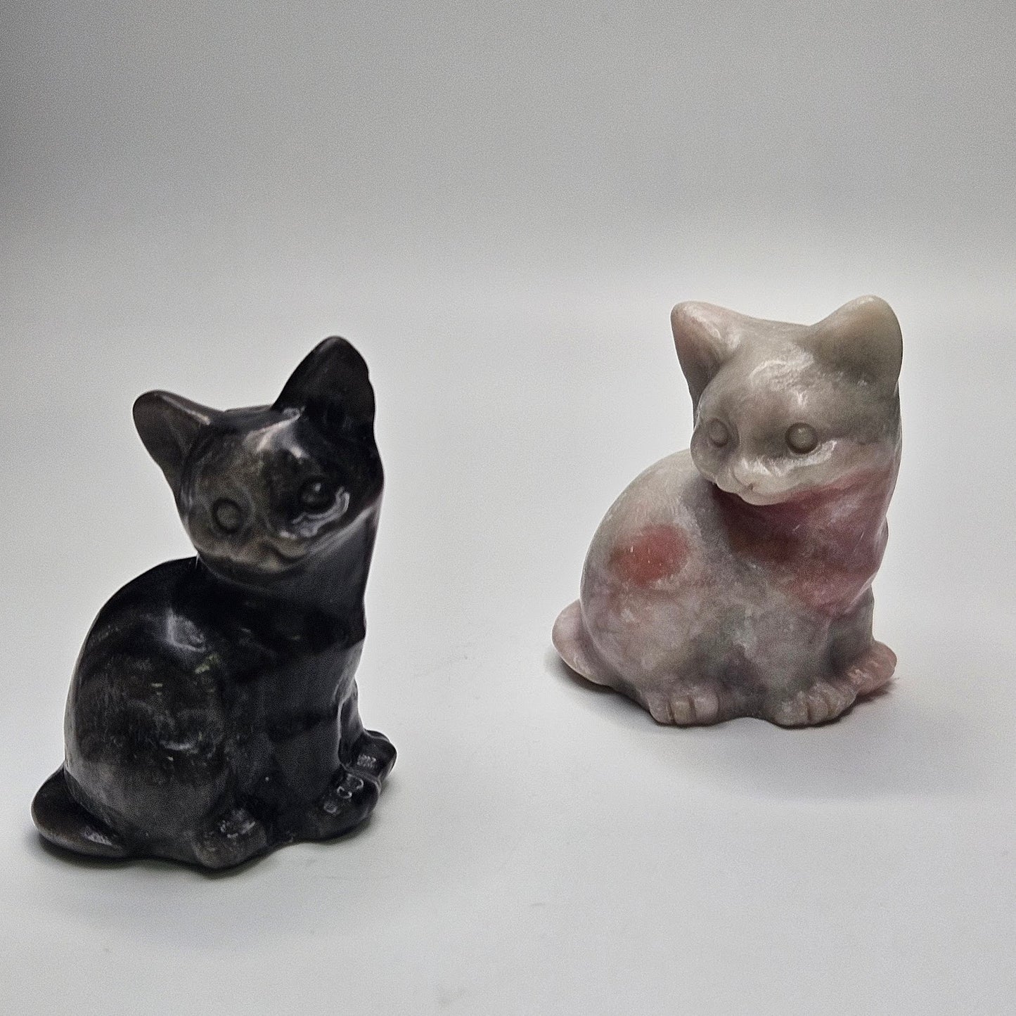 Sitting Cat.