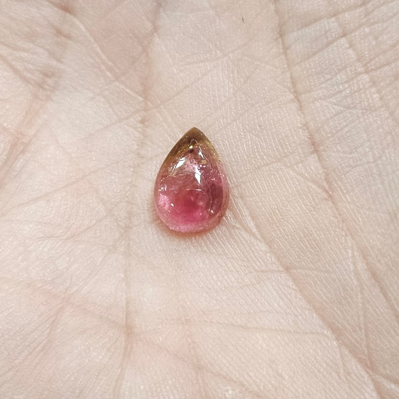 Small 6mm Watermelon Tourmaline Cabochon.