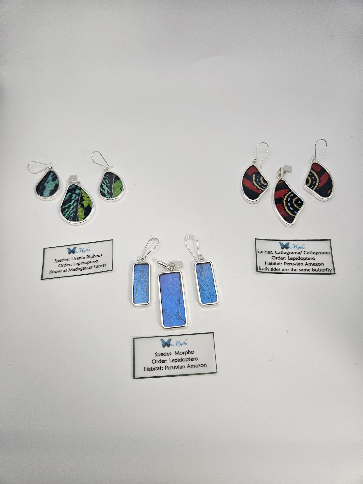 A collection of Sterling Silver Butterfly Medium Set earrings, inspired by a renowned butterfly sanctuary, is displayed on a white surface. These unique pieces of jewelry vary in color and shape, with descriptive cards detailing the species and habitat information for each exquisite set.