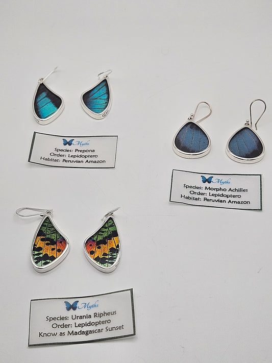Explore our butterfly jewelry collection, showcasing our Sterling Silver Butterfly Medium Tear Earrings, inspired by the enchanting species of the Lepidoptera order found in the Peruvian Amazon—a true testament to their mythical beauty.