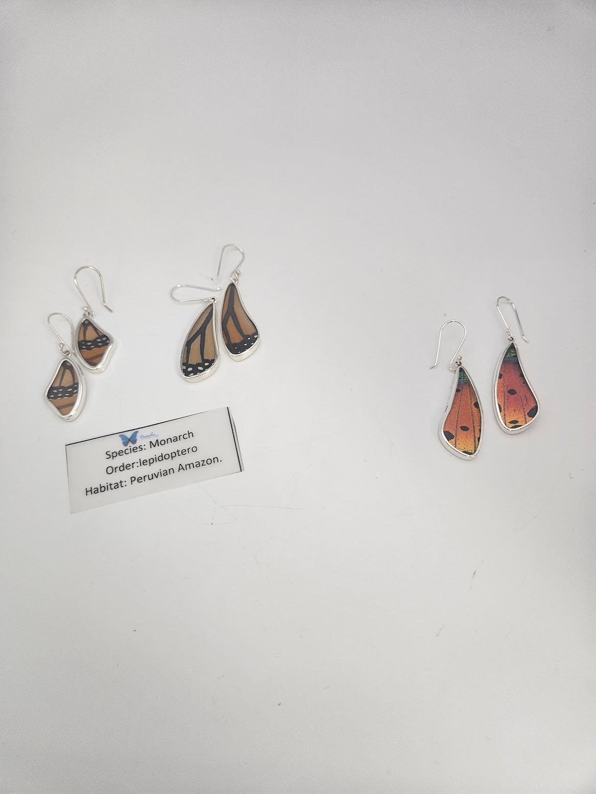 Two pairs of sterling silver butterfly wing-shaped earrings crafted by a talented jewelry artist are displayed on a white background. One pair resembles monarch wings, labeled "Species: Monarch, Order: Lepidoptera, Habitat: Peruvian Amazon," capturing the essence of exquisite butterfly jewelry.