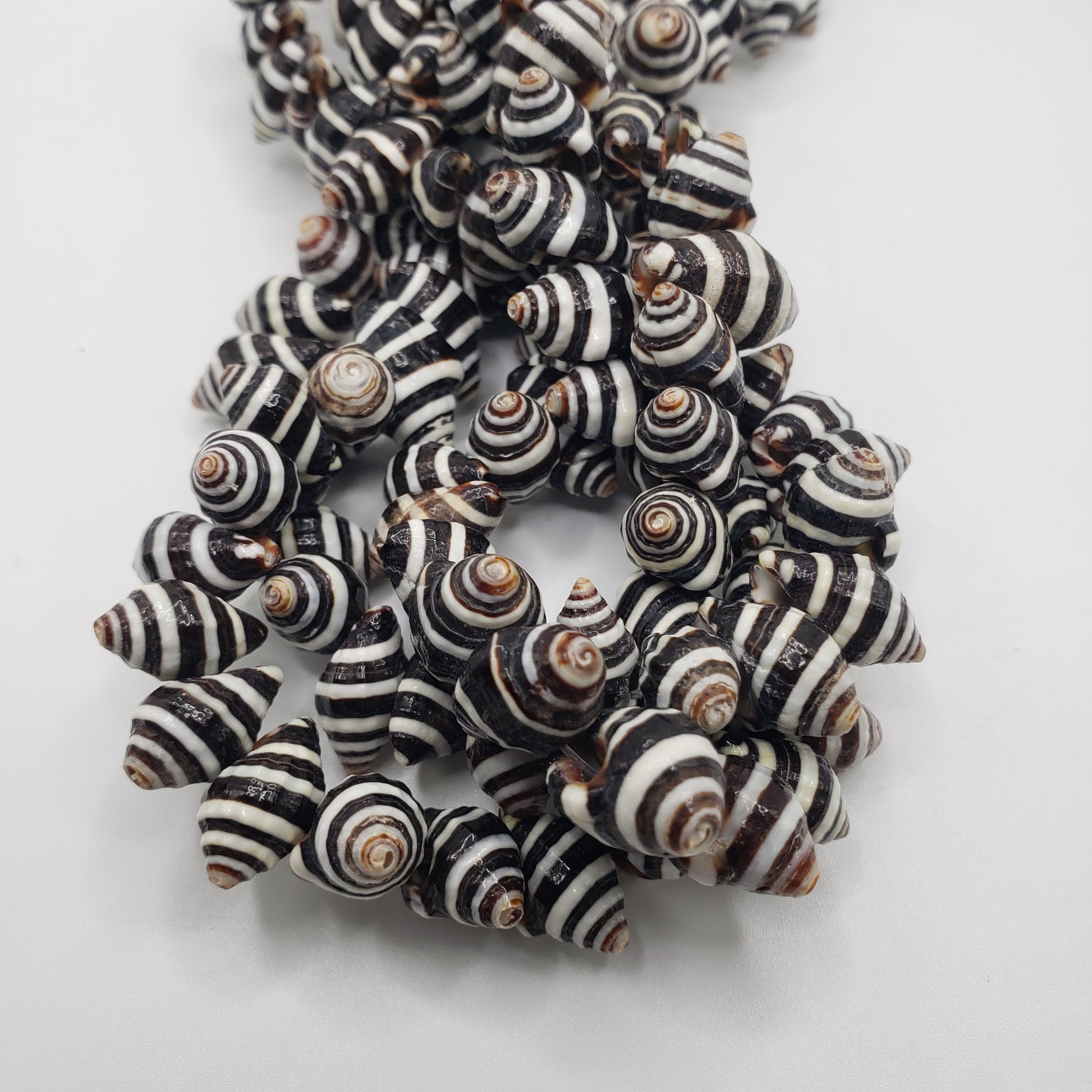 Zebra Small Shell Bead Strand.