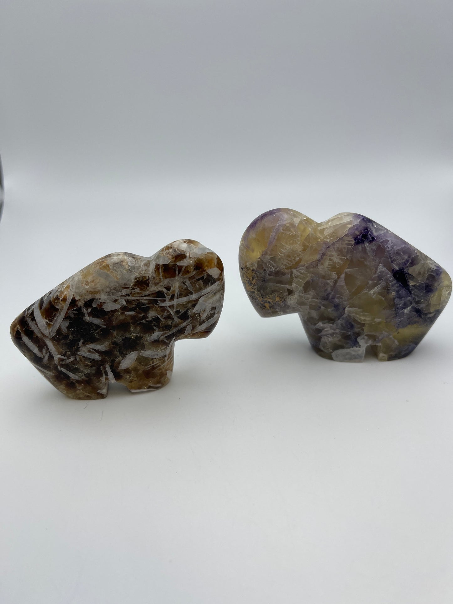 Assorted Medium Buffalo Carving