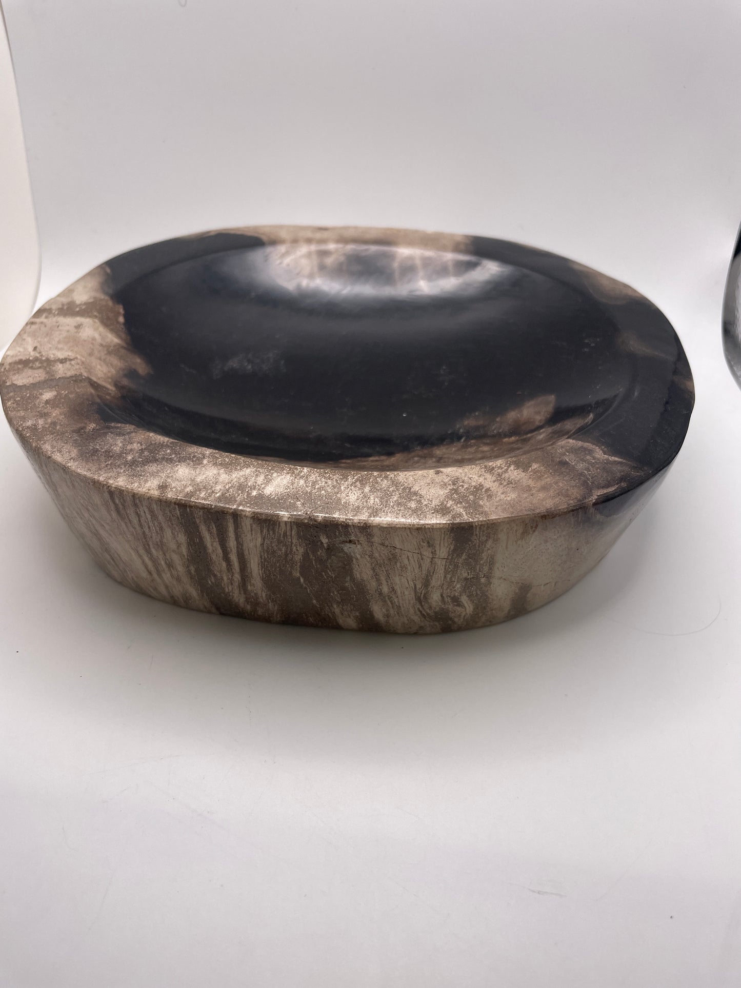 Petrified Wood Bowl 59