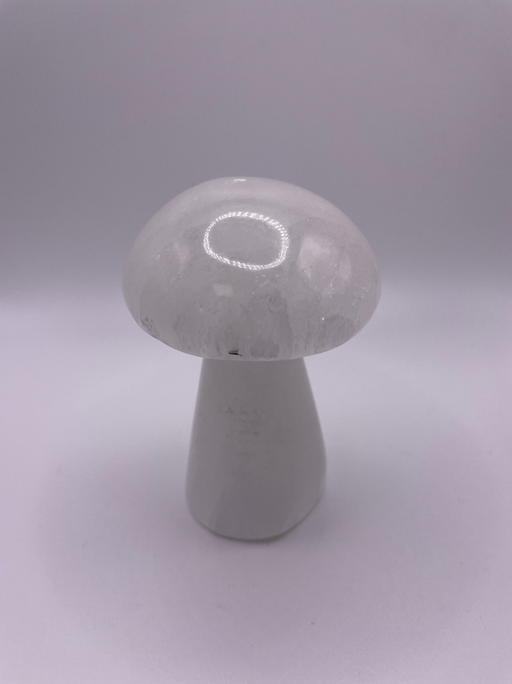 Selenite Mushroom Carving 4