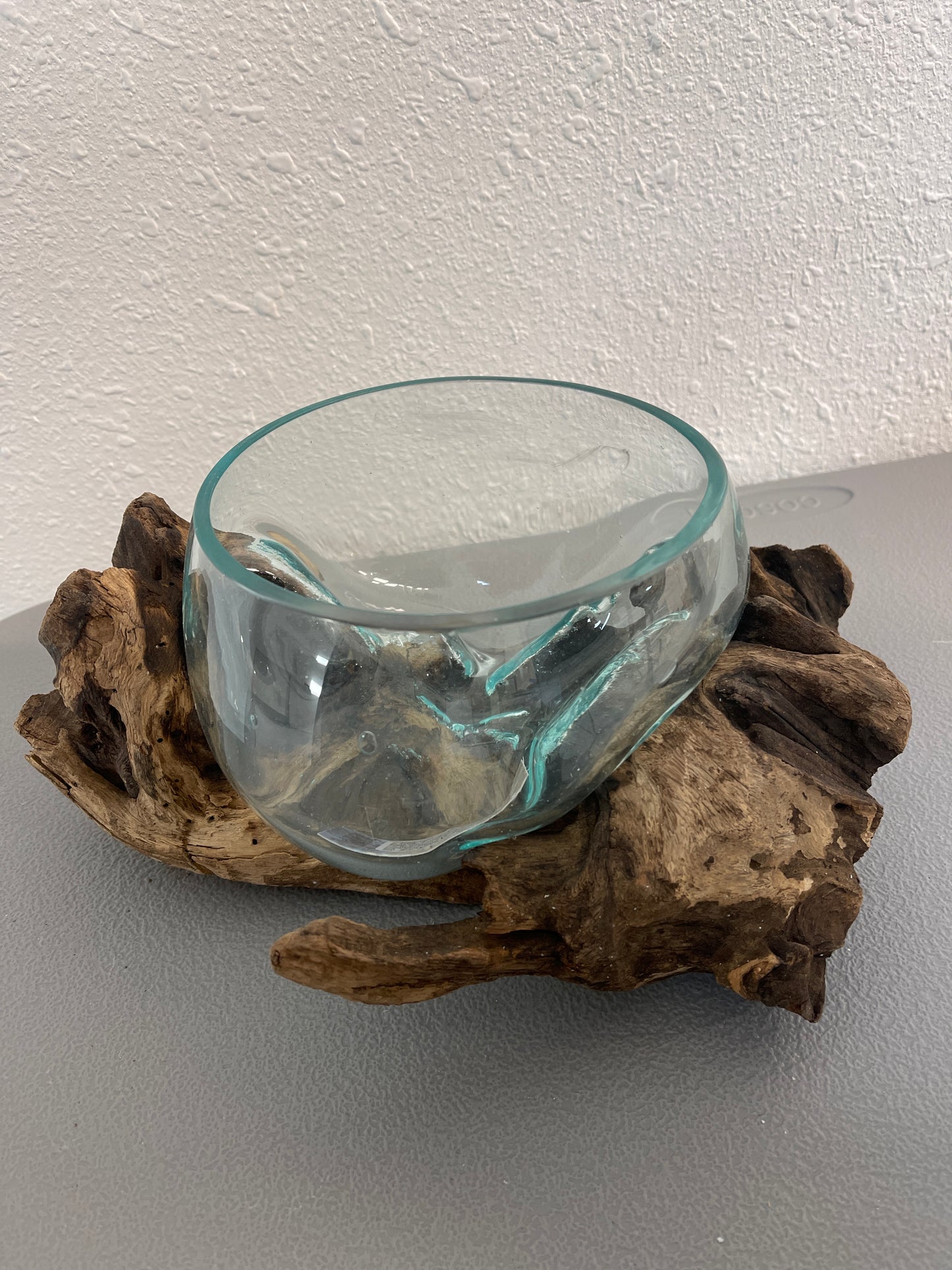 Blown Glass on Gamal Root Bases