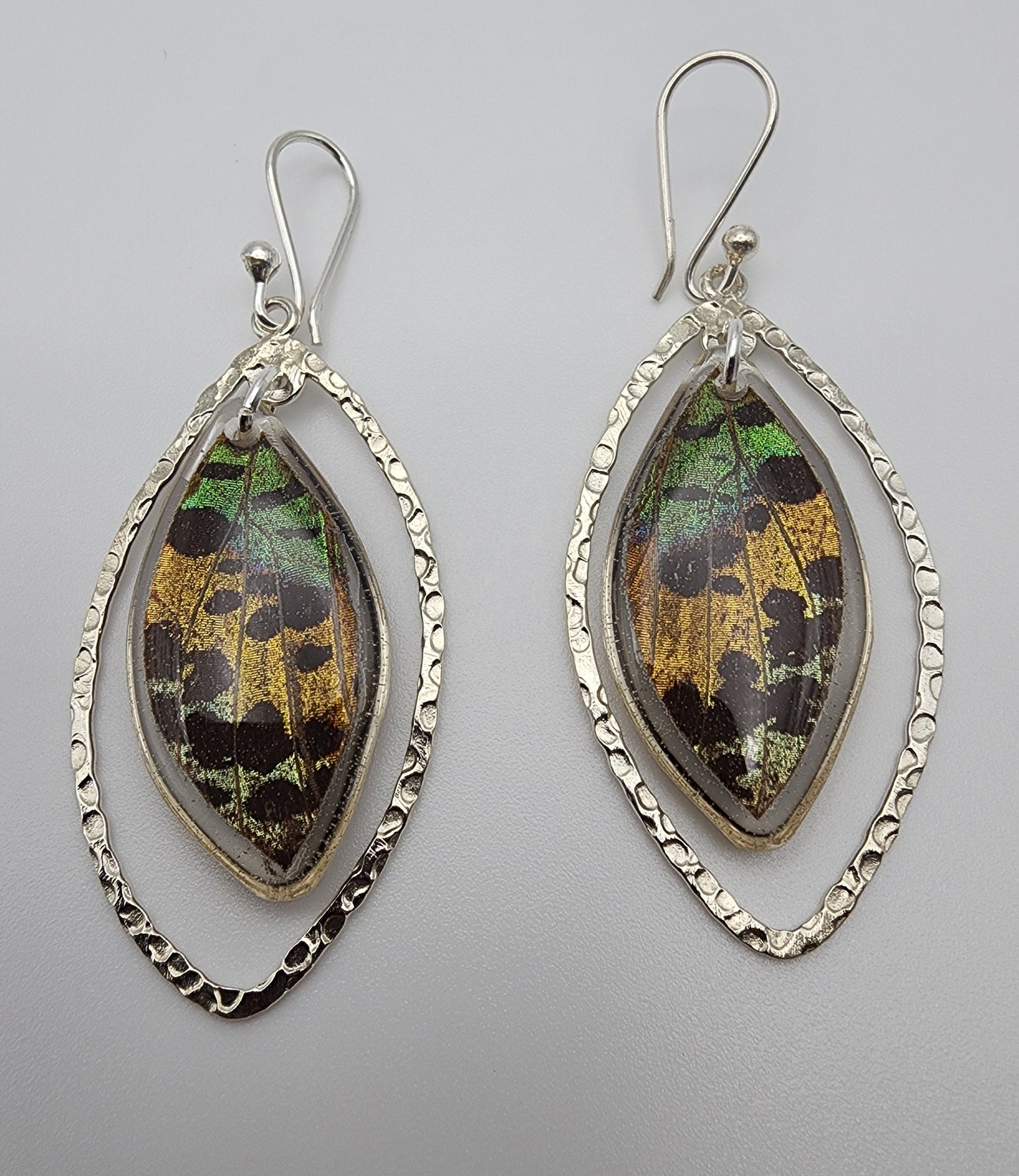 SS Butterfly Ulises Earrings