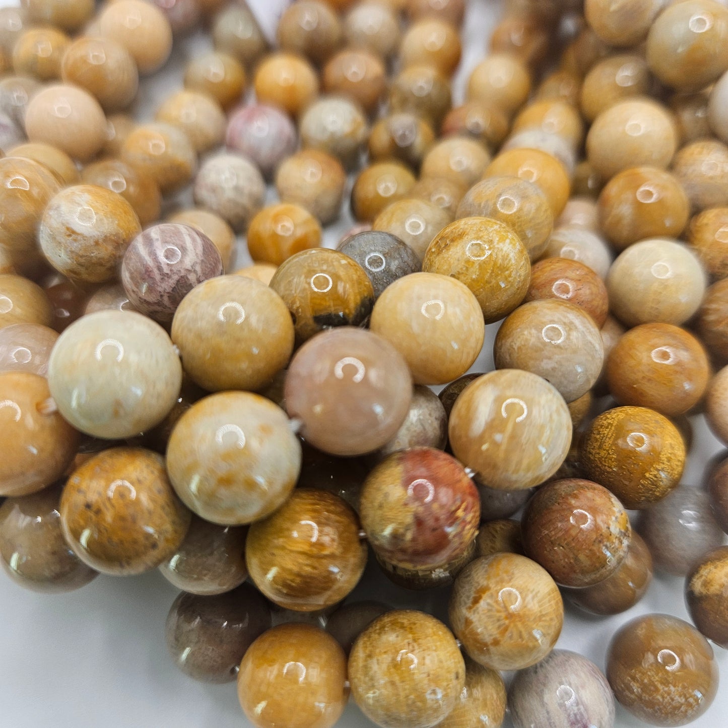 10mm Petoskey Bead Strand.