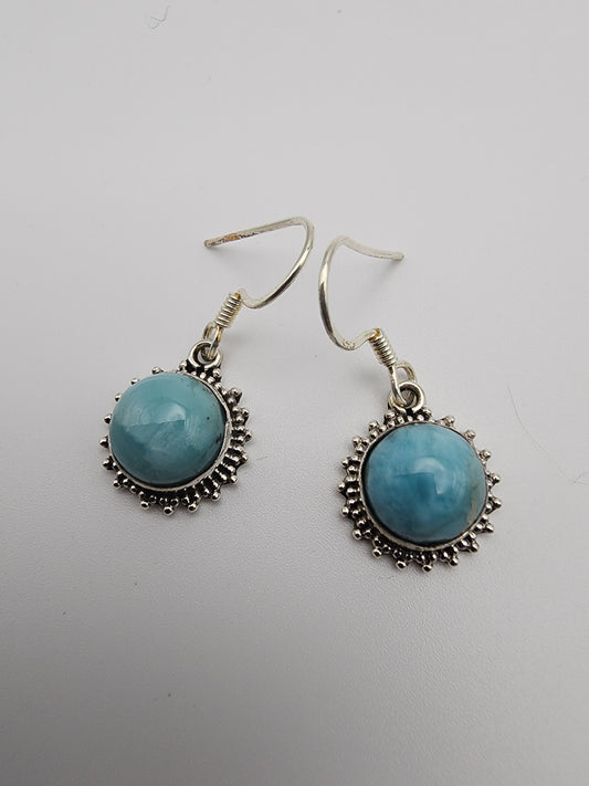 SS Round Blue Earings
