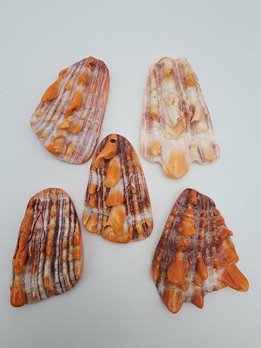 Decorative Spiney Oyster Pendant