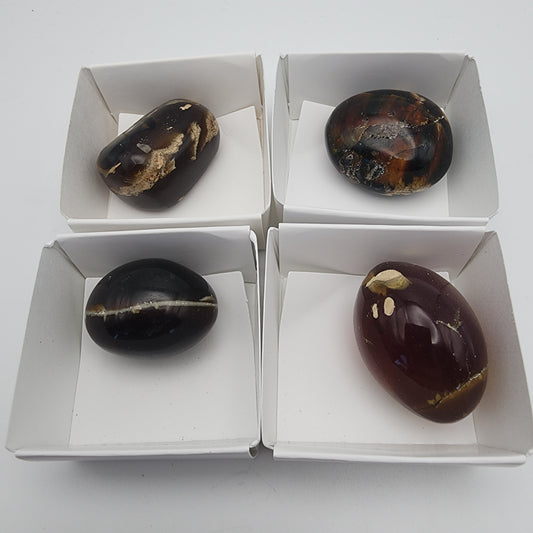 Amber Specimen