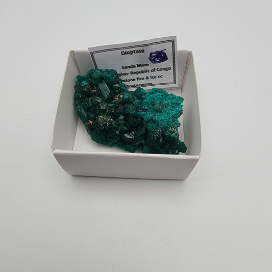 Dioptase Specimen 67