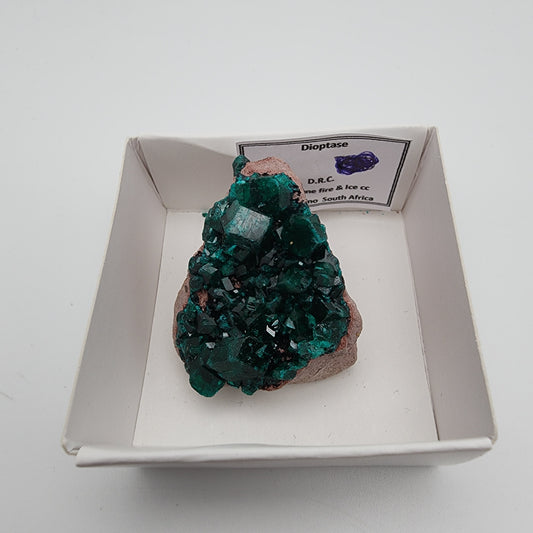 Dioptase Specimen 105