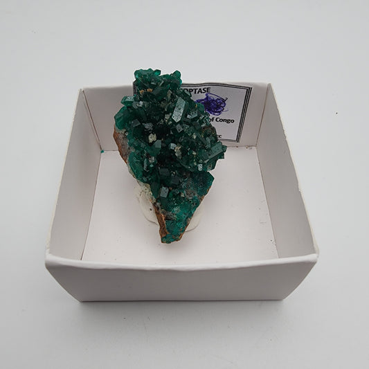 Dioptase Specimen 147