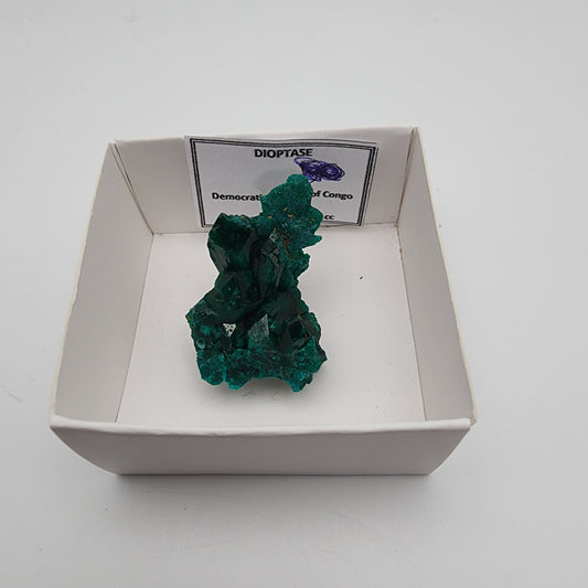 Dioptase Specimen 75