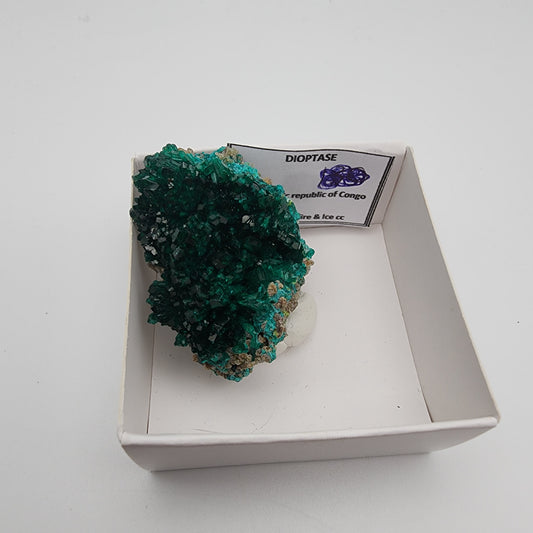 Dioptase Specimen 195