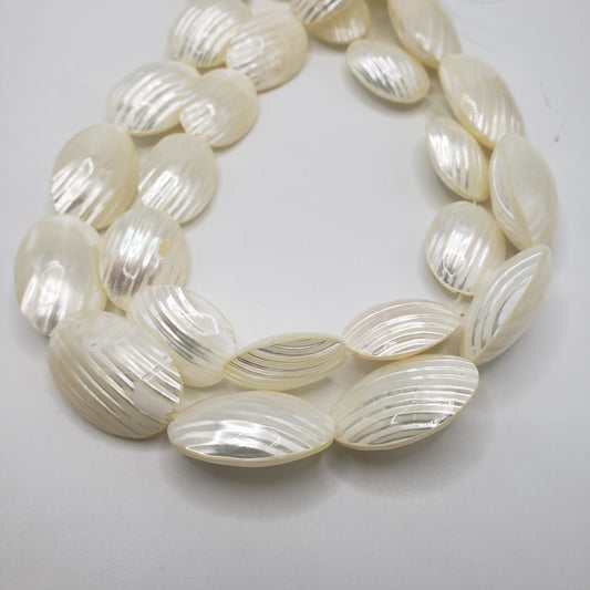 Large Puffy White Shell