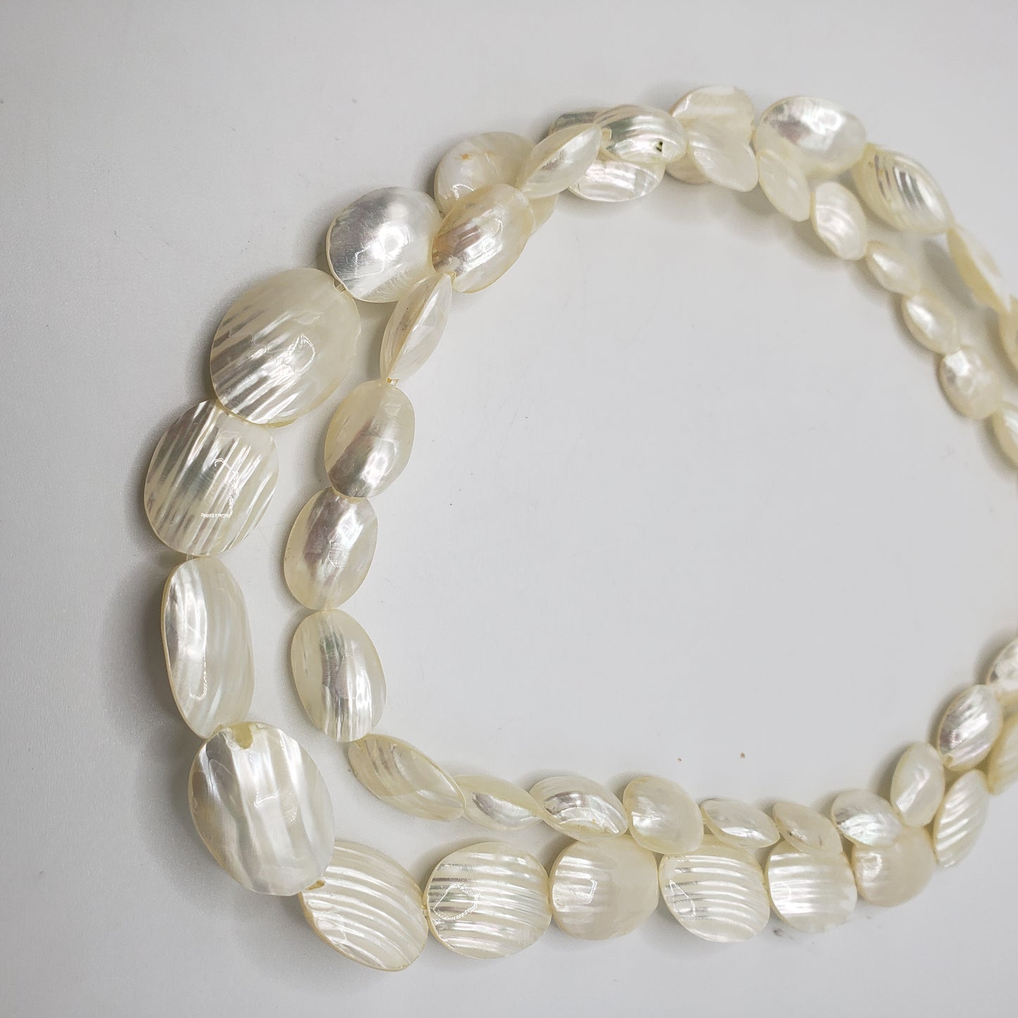 Small Puffy White Shell