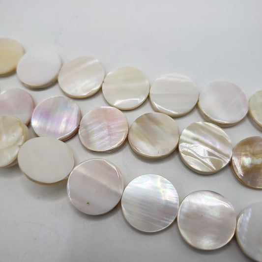Medium MOP White Coin Shell