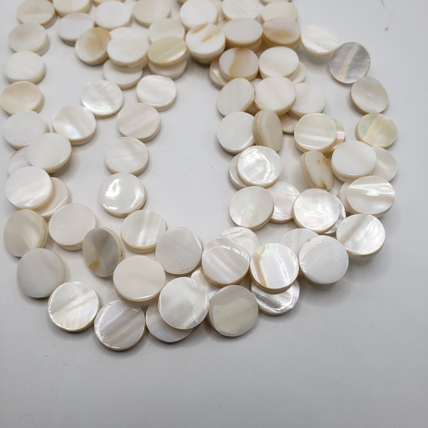 Small MOP White Coin Shell