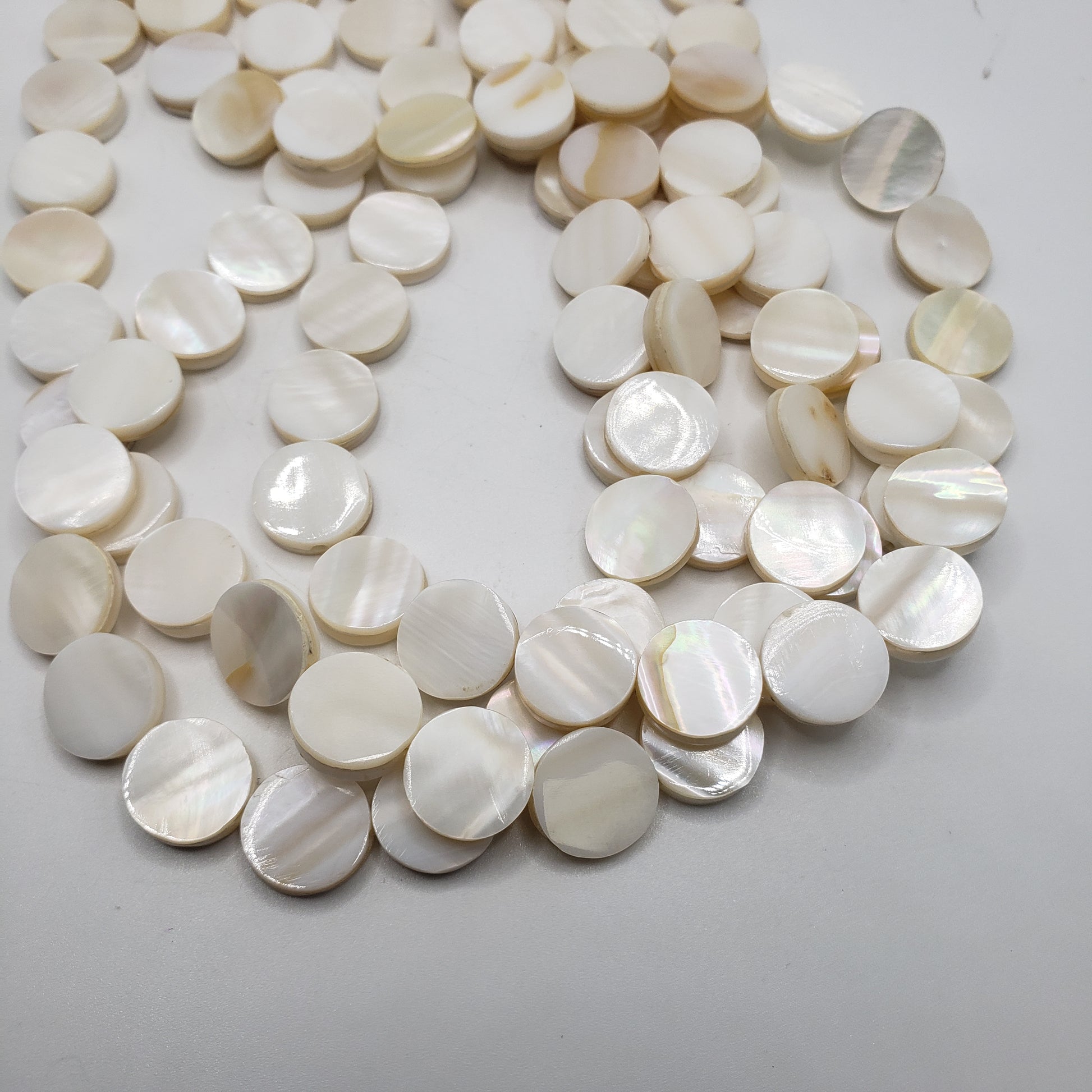 Small MOP White Coin Shell