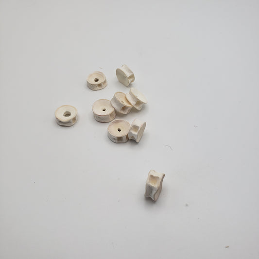 Shark Bone Bead Single
