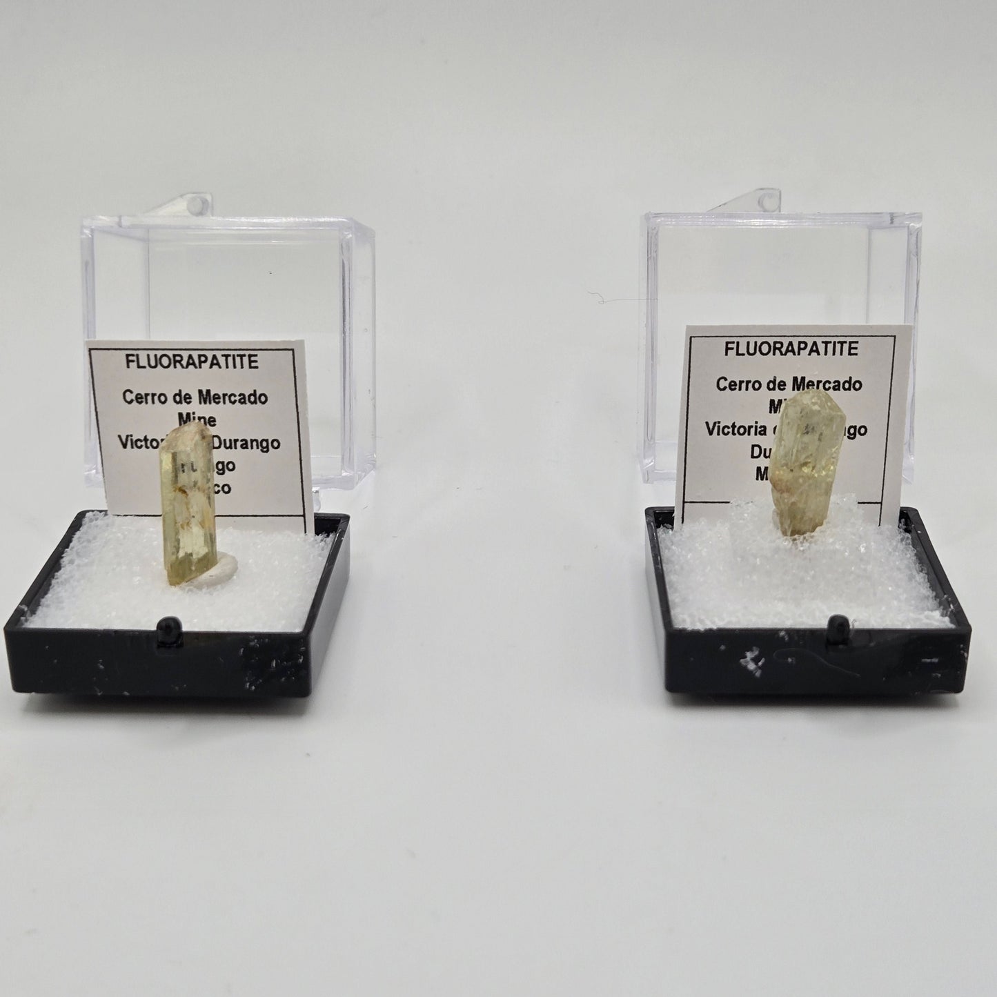 Two fluorapatite gemstone specimens in clear plastic cases