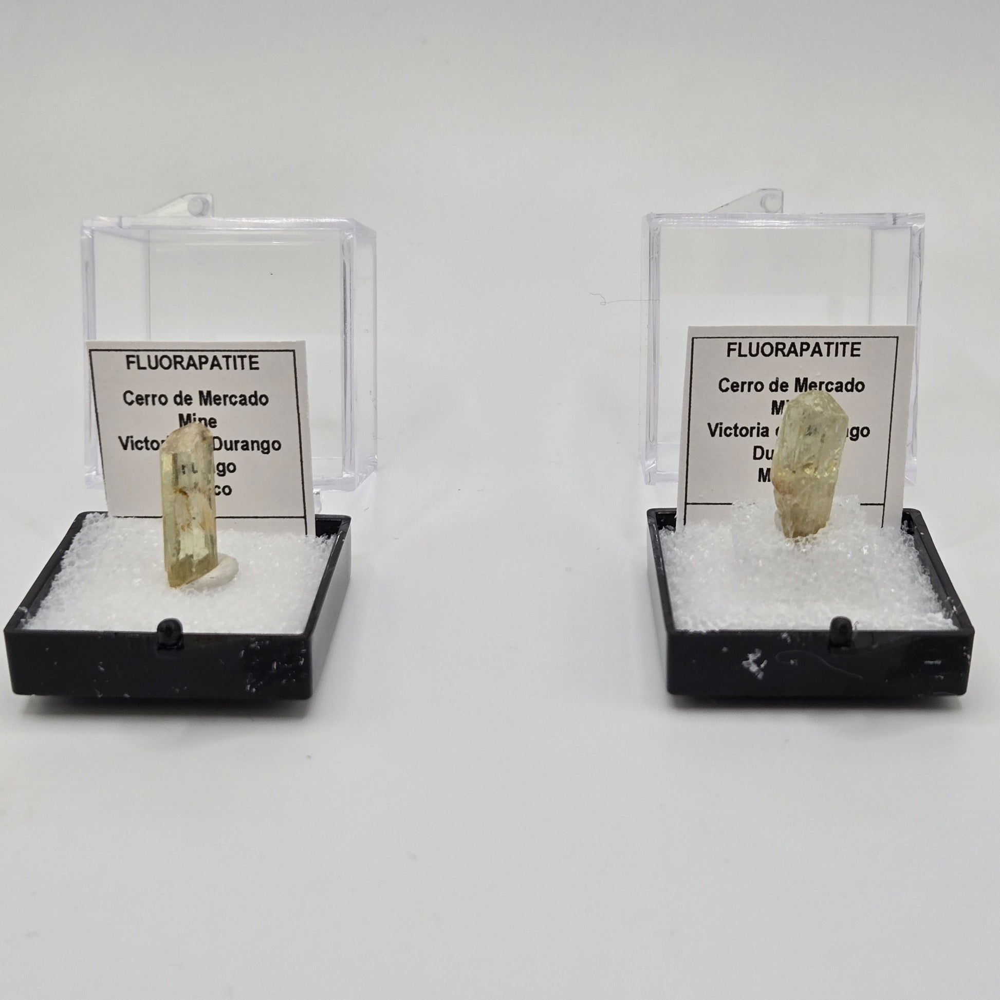 Two fluorapatite gemstone specimens in clear plastic cases
