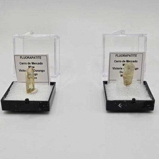 Two fluorapatite gemstone specimens in clear plastic cases