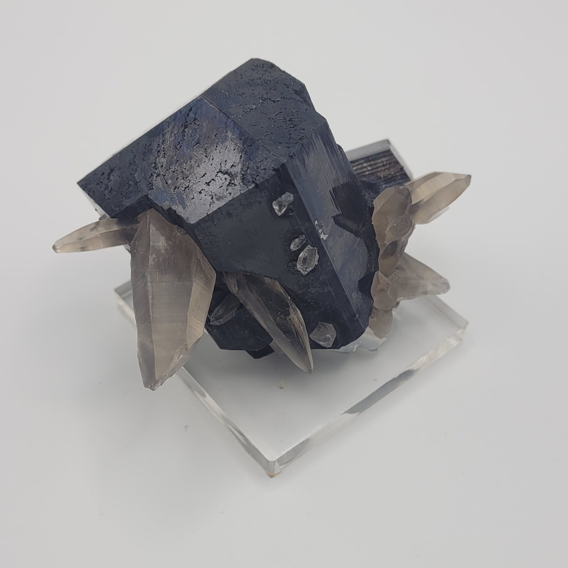 Schorl And Smoky Quartz Erongo Namibia