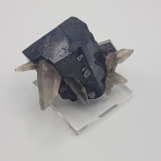 Schorl And Smoky Quartz Erongo Namibia