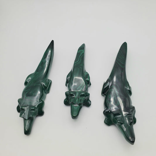 Malachite Alligator 4-5 inch