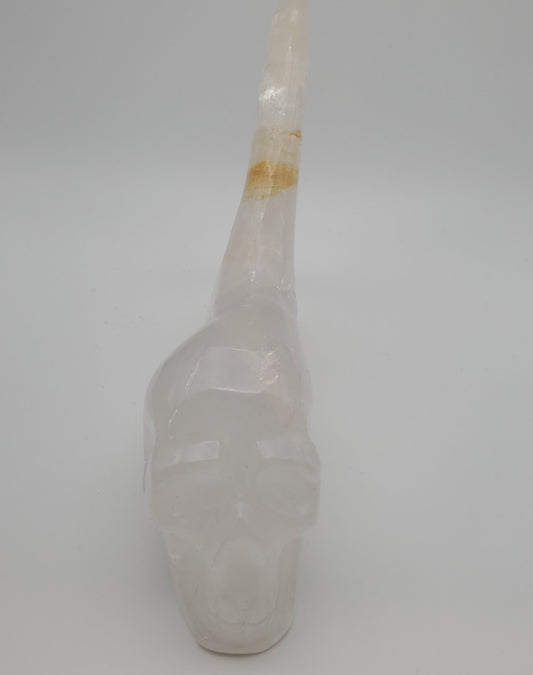 Carved Skull with Fin