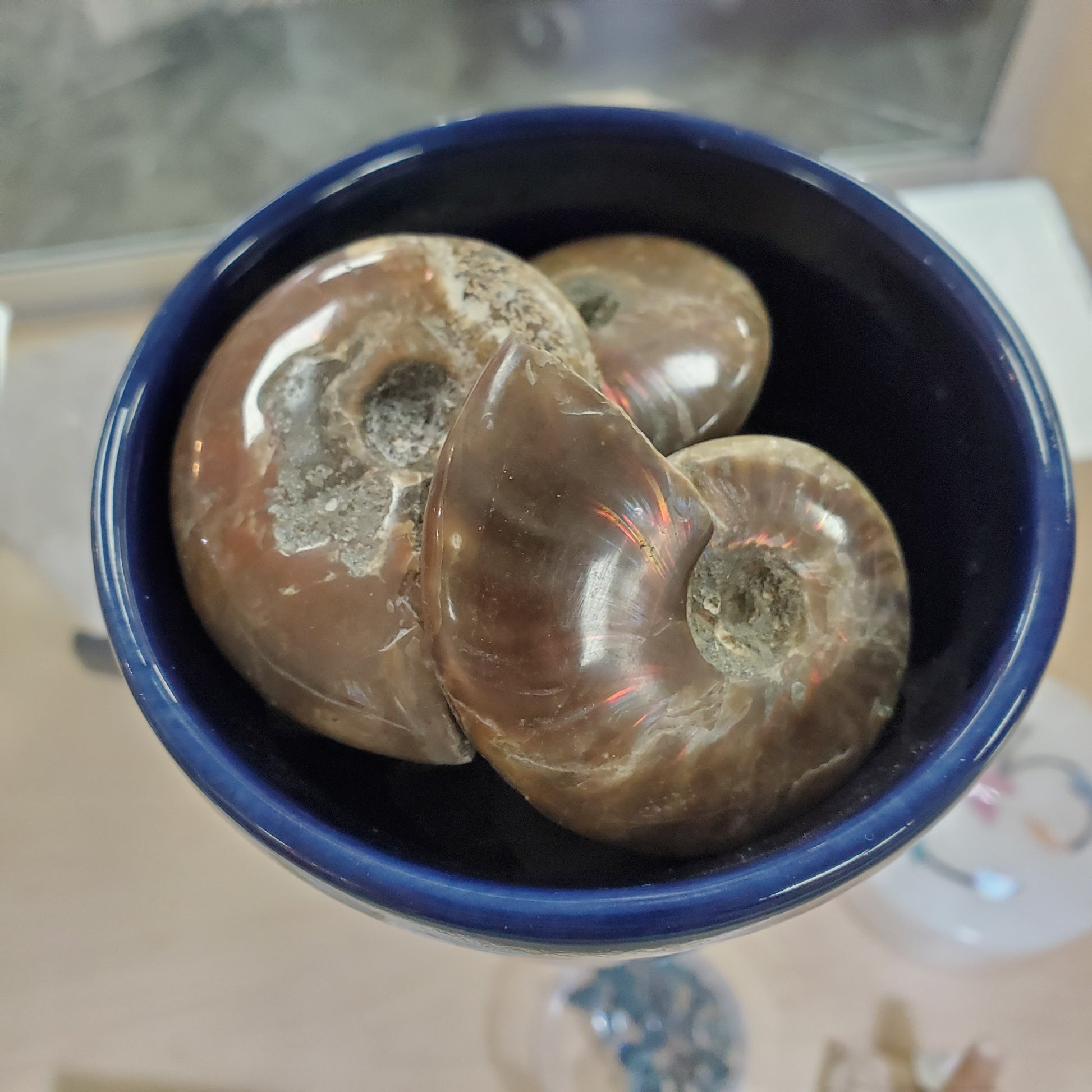 Ammonite Medium