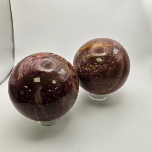 Petrified Wood Sphere 4