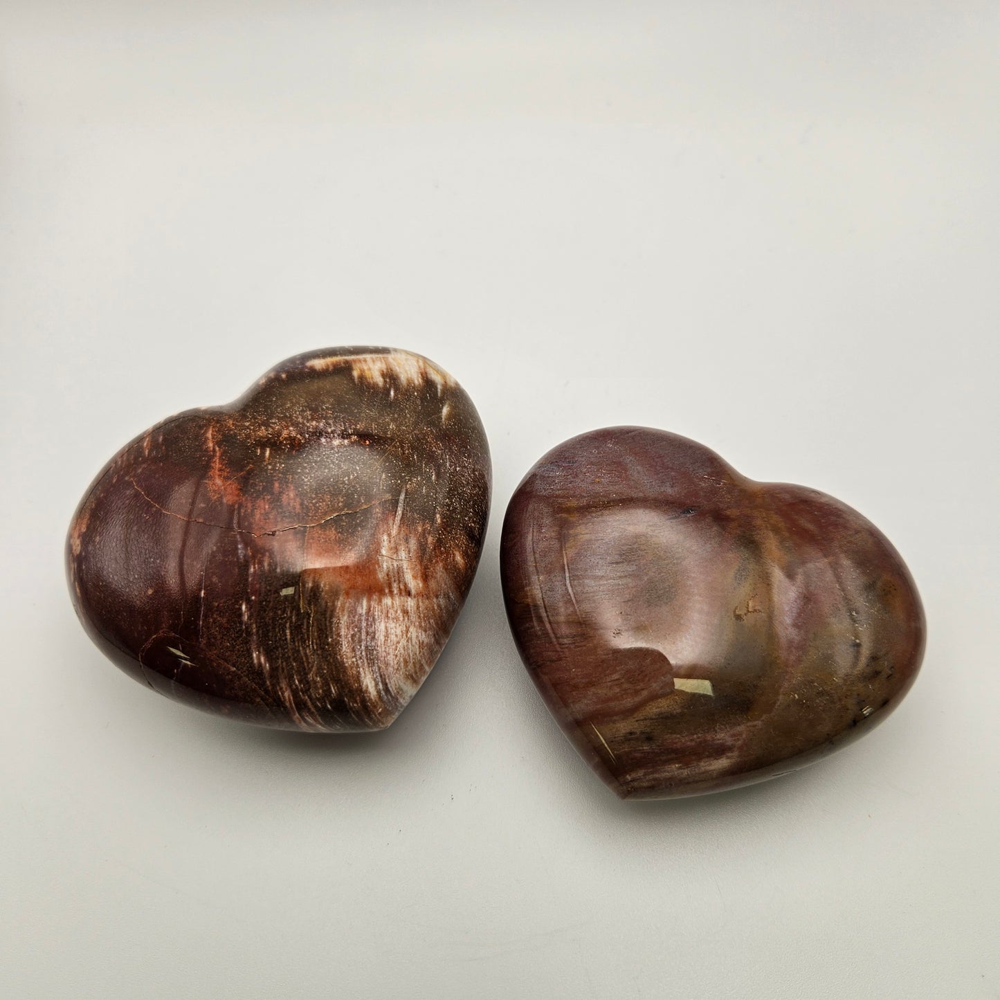 Petrified Wood Heart 3